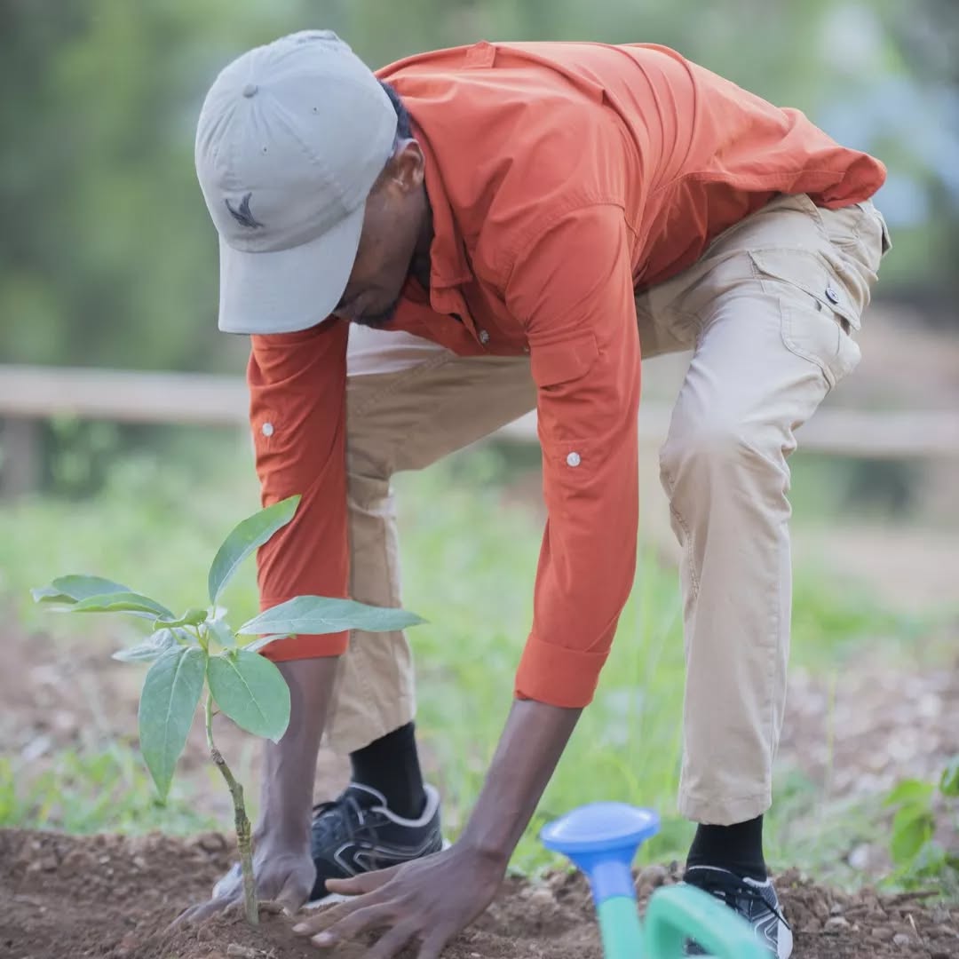 Environmental Activities - Tree Planting