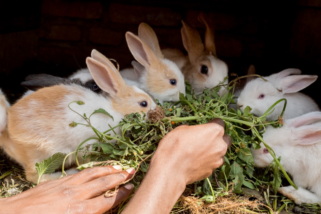 Community engagement